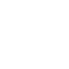 Airplane Icon