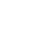 Car Icon